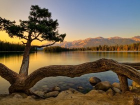 WordPressLeaf主题安装设置步骤