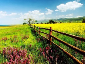 WordPress提速 利用LayerLocalCDN搭建本地化CDN加速服务器