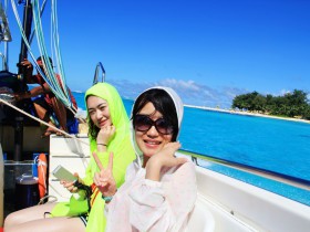 WordPress疑难解答:如何修复一个MySQL数据库的表?