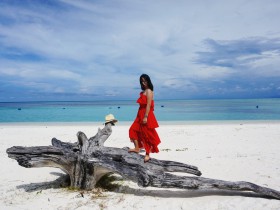 WordPress疑难解答:为什么在最近的自动更新中我丢失了对WordPress默认主题的自定义修改?