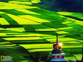 WordPress高级应用:我的WordPress博客将会出现在搜索引擎中吗?(五)