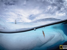 WordPress本地环境搭建:WAMPSERVER 3.0 32位版本提示丢失msvcr110.dll、丢失vcruntime140.dll