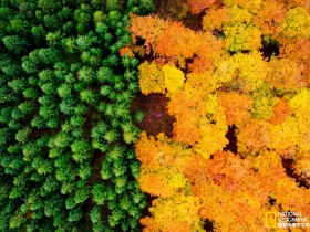 自媒体个人WordPress主题 LOGGER汉化中文版 免费下载