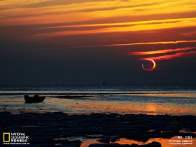 自适应WordPress主题 OWL中文版 免费下载