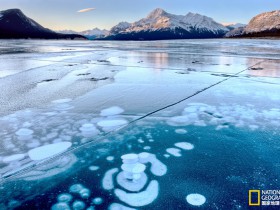 推荐一个微信打赏的WordPress插件 微信打赏(Wechat Reward)