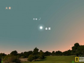 大气多功能企业WordPress主题 THE7汉化中文版 免费下载