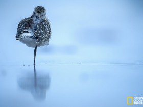 在阿里云centos7 64位服务器上安装、配置、优化XAMPP(apache+Mysql+php7)