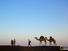 多用途wordpress主题 BeTheme v16 汉化中文版安装设置视频教程