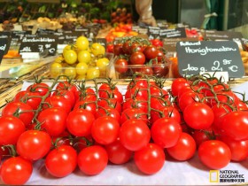 如何在CENTOS 7.2中使用新的方式(systemctl)添加XAMPP服务使其开机启动