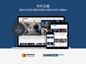 wordpress原创中文主题 冬叶主题V1.0.0发布 杂志博客图片游戏