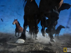 WordPress的冬叶主题如何添加友情链接栏?