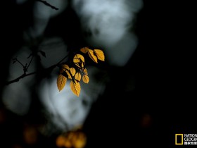 如何清理mysql的mysql-bin.000001日志