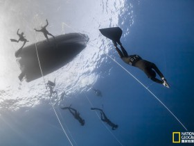 解决Mysql报错'this version of PCRE is compiled without UTF support at offset 0'(XAMPP)