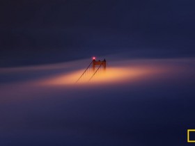 春叶主题即将发布 届时放出免费下载