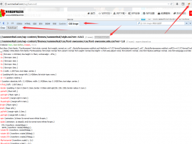 2018年如何安装使用Firebug和CSS Usage?
