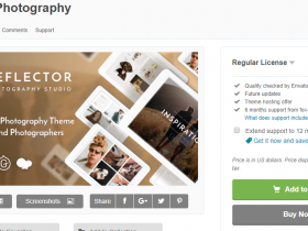 WordPress 摄影主题 Reflector v1.1.1 免费下载