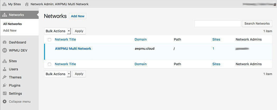 multisite multi network setup