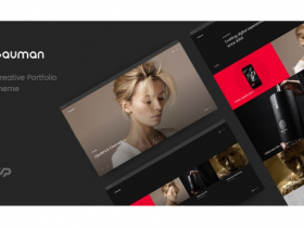 WordPress 创意作品主题 Bauman v1.6 免费下载