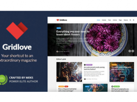 WordPress 新闻和杂志主题 GridLove v1.9.5 免费下载