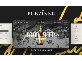 WordPress 体育主题 Pubzinne v1.0 免费下载